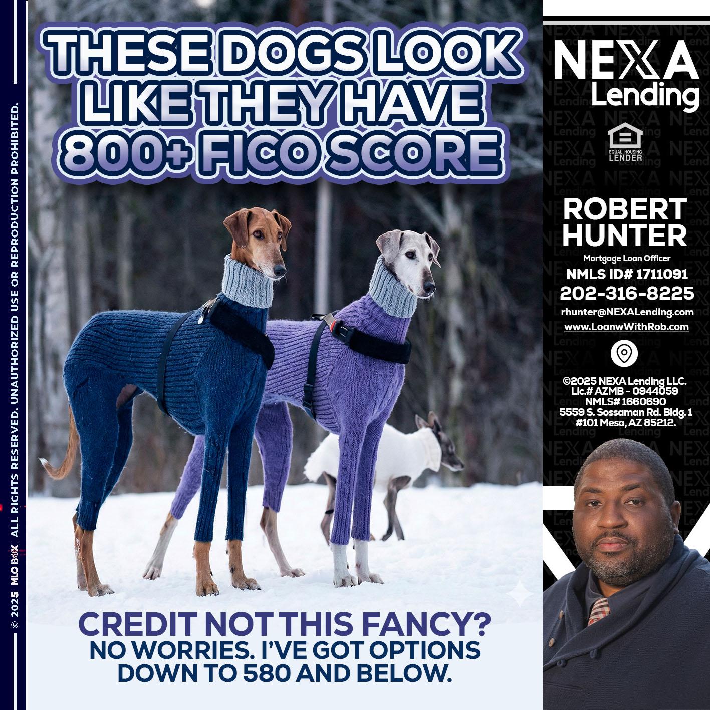 THESE DOGS LOOK - Robert Hunter -Mortgage Loan Officer